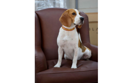 Sillón de piel Julianos | Butaca de cuero | SofaHogar 2