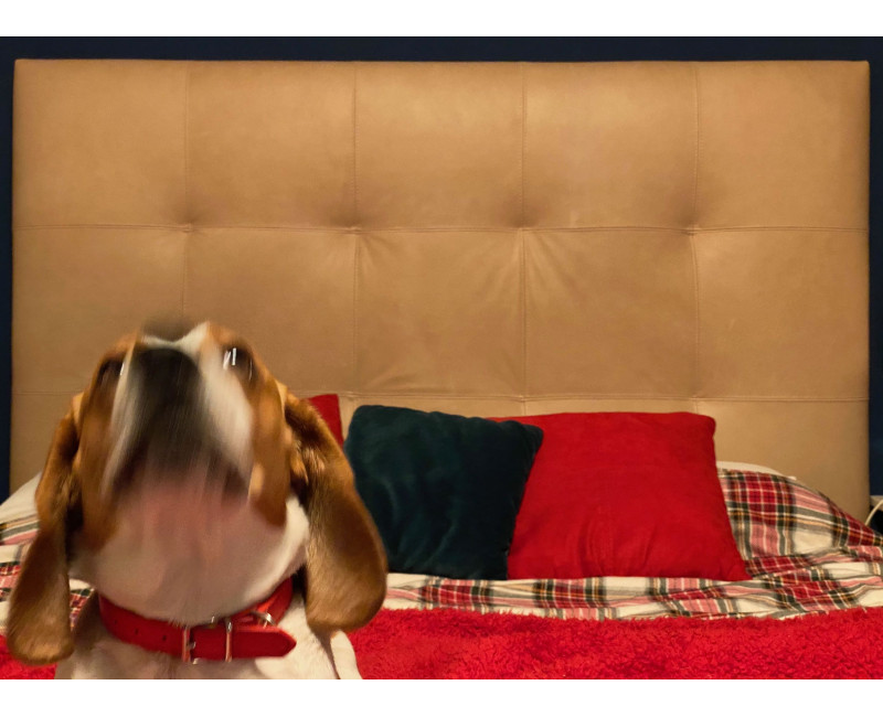 Cabecero de piel natural Nadia | Cabeceros de piel | SofaHogar com