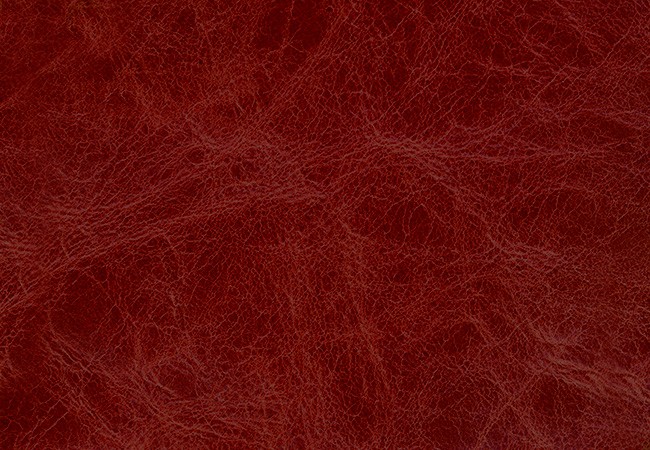 (VIN_81214) ROJO_VIN