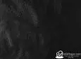 (VRE_41312) NEGRO_B