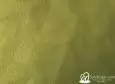 (VRE_41314) PISTACHO_B