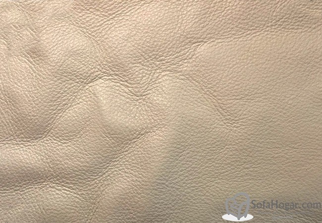 (VPP_51204) MARFIL_C