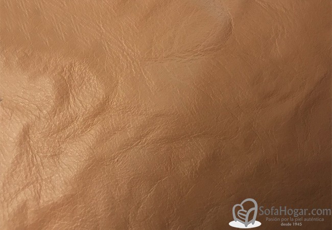 (VPP_51205) BEIGE_C