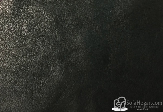 (VPP_51208) VERDE INGLES_C