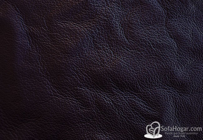 (VPP_5102) PURPURA_C