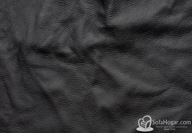 (VPP_5105) NEGRO_C