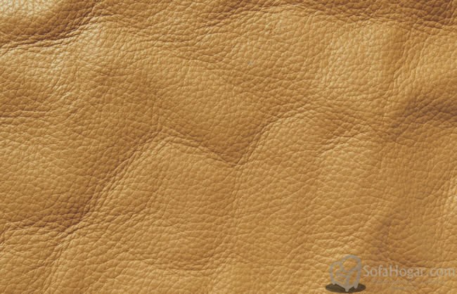 (VRE_4108) CARAMELO_B