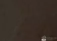 (VRE_4207) TABACO_B