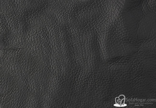 (VRE_4210) CARBON_B