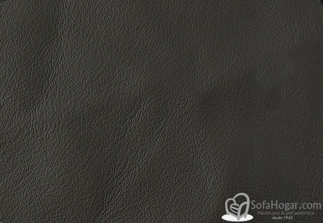 (VPP_5211) MUSGO_C