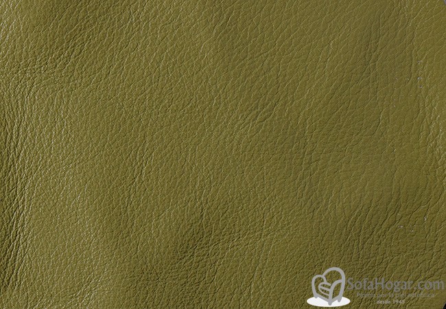 (VPP_5212) LIMA_C