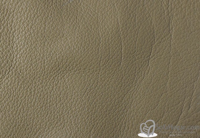 (VPP_5213) JADE_C