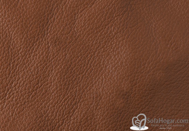 (VPP_5214) CUERO_C
