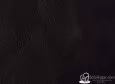 (VPP_5218) PURPURA_C