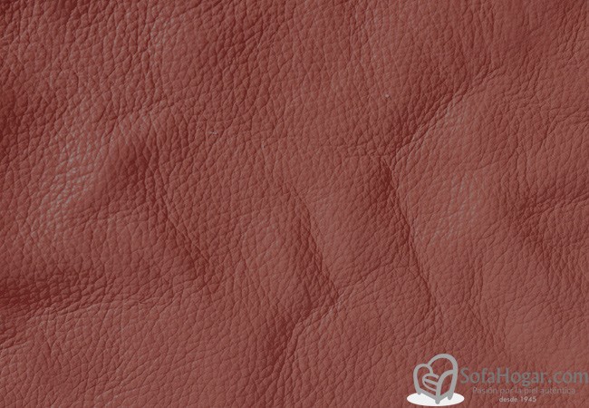 (VPP_5223) CORALINO_C
