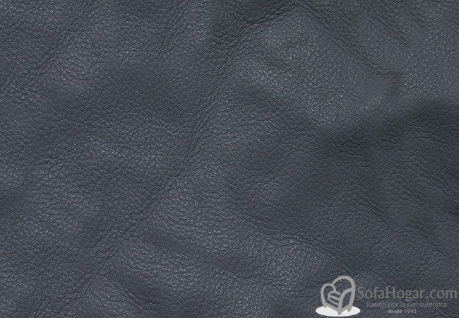 (VPP_5220) COLONIA_C