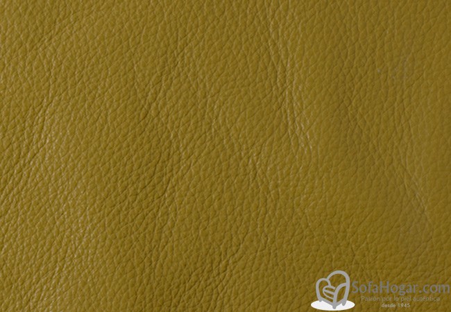 (VPP_5224) PLAYA_C