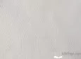 (VRE_4203) POLO_B
