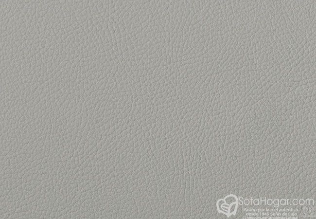 (VRE_41808) PLATA_B