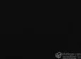 (VRE_41822) NEGRO_B