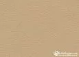(VRN_31803) BEIGE_A EDIC ESPECIAL