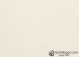 (VPP_51817) BLANCO_C