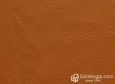 (VPP_51819) CAMEL_C