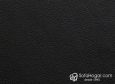 (VPP_51822) NEGRO_C