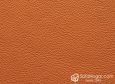 (VPP_51828) CAMEL_C