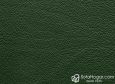 (VPP_51833) VERDE HOJA_C