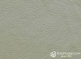 (VPP_51834) PLATA GRIS_C
