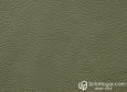 (VPP_51835) GRIS NUEZ_C