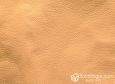 (VPP_50109) AMBAR_C