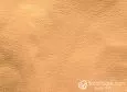 (VPP_50109) AMBAR_C