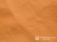 (VPP_50110) BEIGE_C