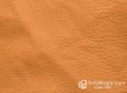 (VPP_50110) BEIGE_C