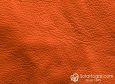 (VPP_50111) CAMEL_C
