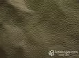 (VPP_50121) HOJA VERDE_C