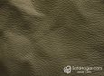 (VPP_50121) HOJA VERDE_C
