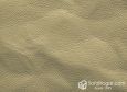 (VPP_50113) PIEDRA JADE_C