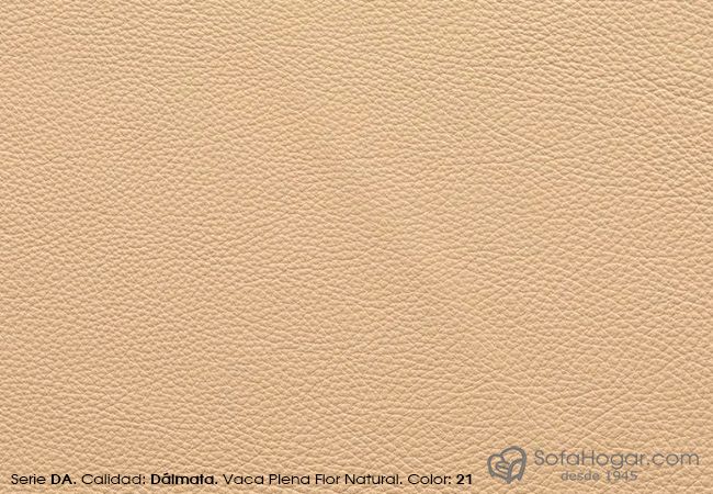 (VDA_61821) COLOR_21_DA