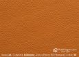 (VDA_61828) COLOR_28_DA