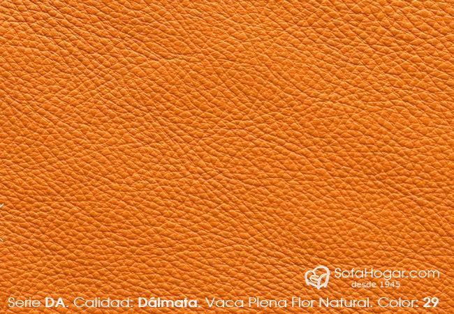 (VDA_61829) COLOR_29_DA