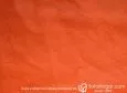 (VAP_61131_N) CALABAZA_D