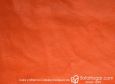 (VAP_61131_N) CALABAZA_D