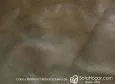 (VAP_61121_N) GRIS_D