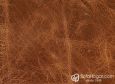 (VIN_81817) TABACO_VIN