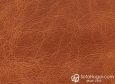 (VIN_81818) CAMEL COGNAC