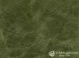 (VIN_81822) VERDE BOTELLA_VIN