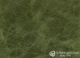 (VIN_81822) VERDE BOTELLA_VIN